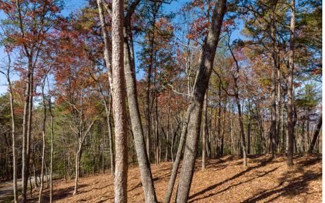 Lot 40 Preserve Trail Ellijay GA 30536