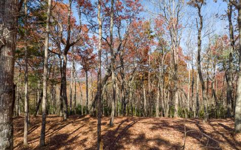 Lot 40 Preserve Trail Ellijay GA 30536
