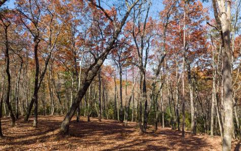 Lot 40 Preserve Trail Ellijay GA 30536