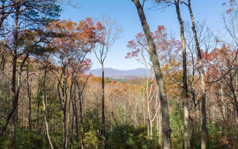 Lot 40 Preserve Trail Ellijay GA 30536