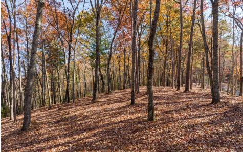 Lot 40 Preserve Trail Ellijay GA 30536