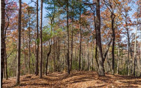 Lot 40 Preserve Trail Ellijay GA 30536