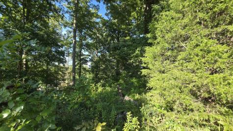 Lot 5 Chatuge Cove Greens Hayesville NC 28904