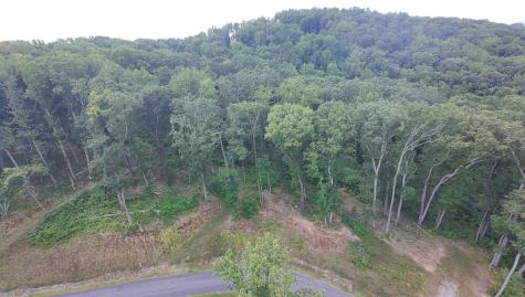 35 High Summit Drive Talking Rock GA 30175