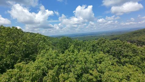 35 High Summit Drive Talking Rock GA 30175