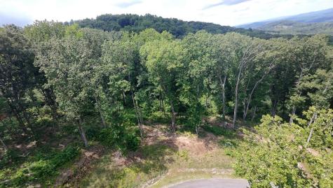 35 High Summit Drive Talking Rock GA 30175
