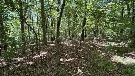 35 High Summit Drive Talking Rock GA 30175