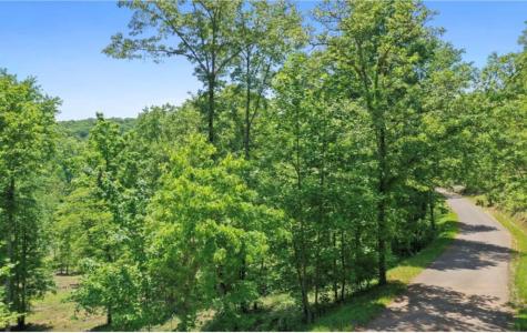 Lt 11 Haven Way Blue Ridge GA 30513