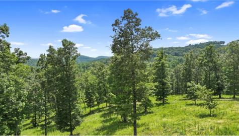 Lt 11 Haven Way Blue Ridge GA 30513