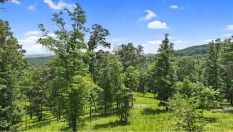 Lt 11 Haven Way Blue Ridge GA 30513