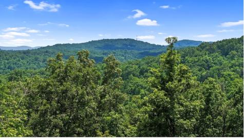 Lt 11 Haven Way Blue Ridge GA 30513