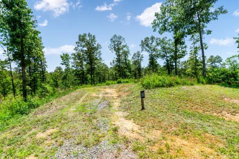 LT160 Shallow Water Trail Talking Rock GA 30175