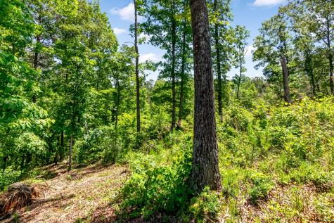 LT160 Shallow Water Trail Talking Rock GA 30175
