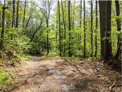 LT160 Shallow Water Trail Talking Rock GA 30175