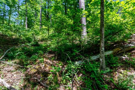 LT160 Shallow Water Trail Talking Rock GA 30175