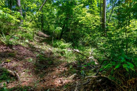 LT160 Shallow Water Trail Talking Rock GA 30175