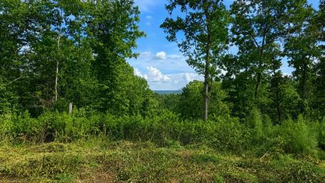 LT160 Shallow Water Trail Talking Rock GA 30175