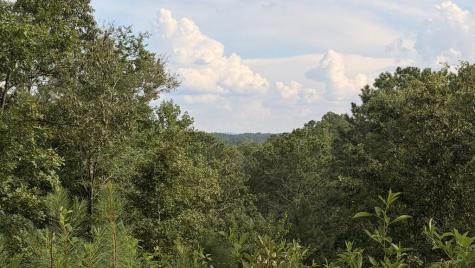 LT160 Shallow Water Trail Talking Rock GA 30175