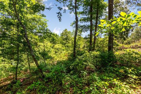 LT160 Shallow Water Trail Talking Rock GA 30175