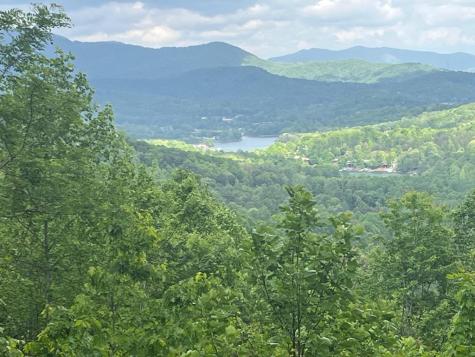 Lot 10 Summit Trail Hiawassee GA 30546