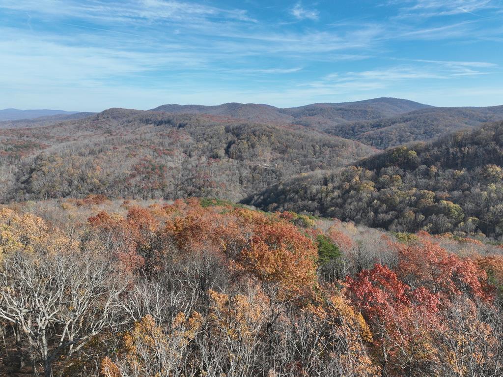 274 Andes Ridge Ellijay GA 30536