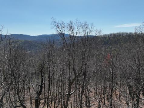 274 Andes Ridge Ellijay GA 30536