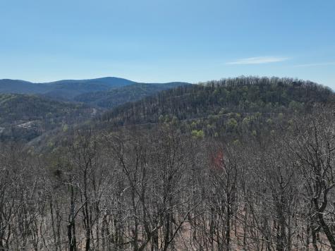 274 Andes Ridge Ellijay GA 30536