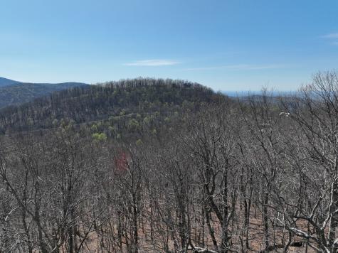 274 Andes Ridge Ellijay GA 30536