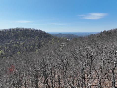 274 Andes Ridge Ellijay GA 30536