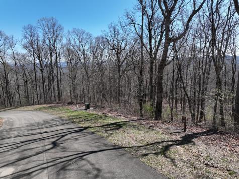 274 Andes Ridge Ellijay GA 30536