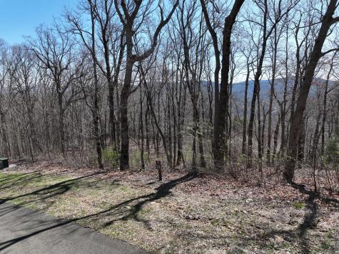 274 Andes Ridge Ellijay GA 30536