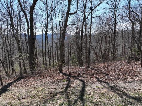 274 Andes Ridge Ellijay GA 30536