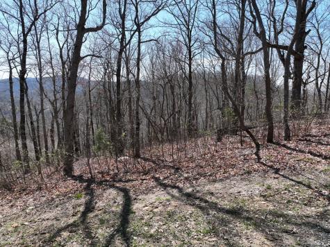 274 Andes Ridge Ellijay GA 30536