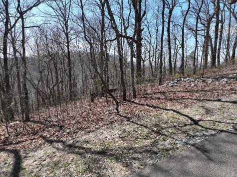 274 Andes Ridge Ellijay GA 30536