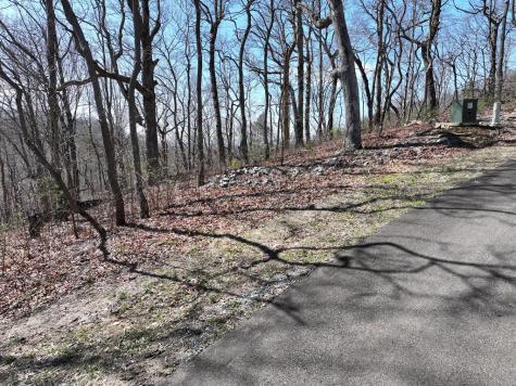 274 Andes Ridge Ellijay GA 30536