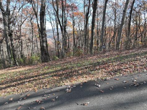 274 Andes Ridge Ellijay GA 30536