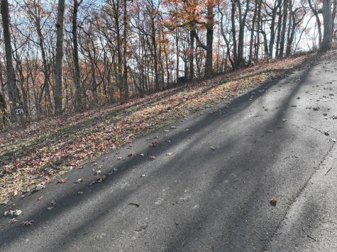 274 Andes Ridge Ellijay GA 30536