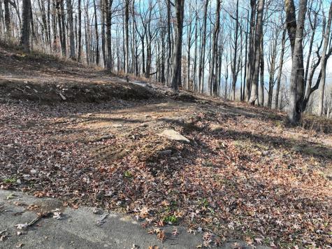 274 Andes Ridge Ellijay GA 30536