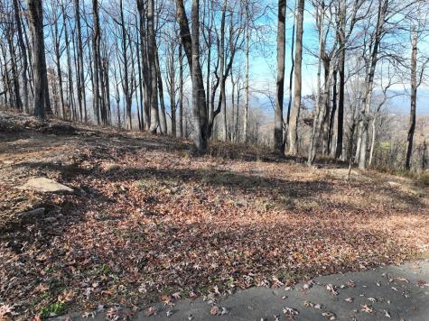 274 Andes Ridge Ellijay GA 30536