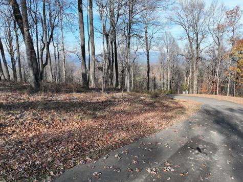 274 Andes Ridge Ellijay GA 30536