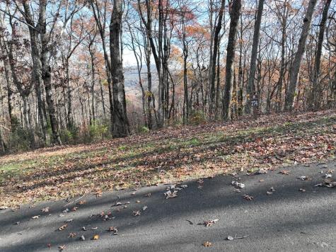 274 Andes Ridge Ellijay GA 30536