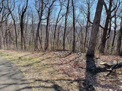 274 Andes Ridge Ellijay GA 30536