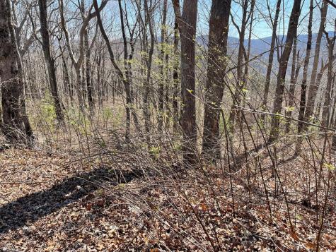 274 Andes Ridge Ellijay GA 30536