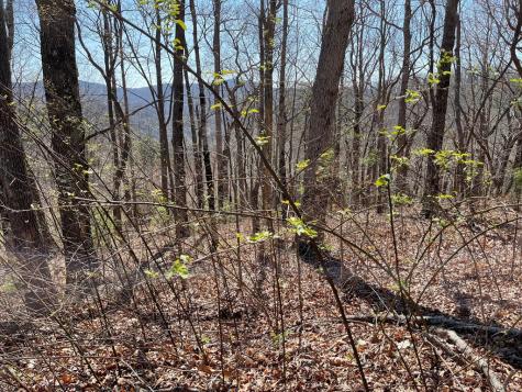 274 Andes Ridge Ellijay GA 30536