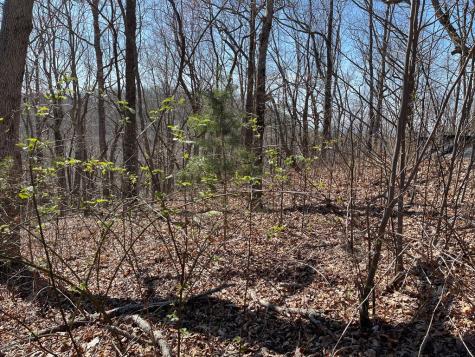 274 Andes Ridge Ellijay GA 30536