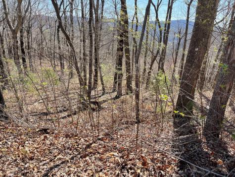 274 Andes Ridge Ellijay GA 30536