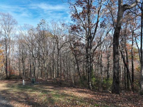 274 Andes Ridge Ellijay GA 30536