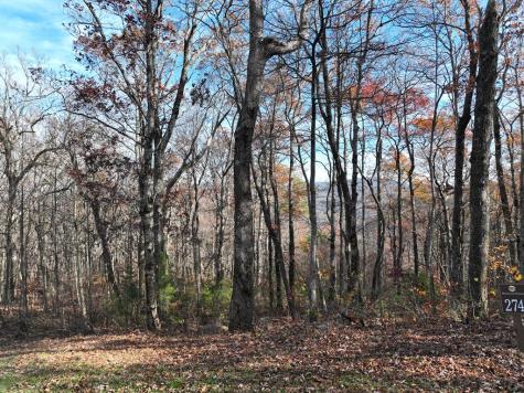 274 Andes Ridge Ellijay GA 30536