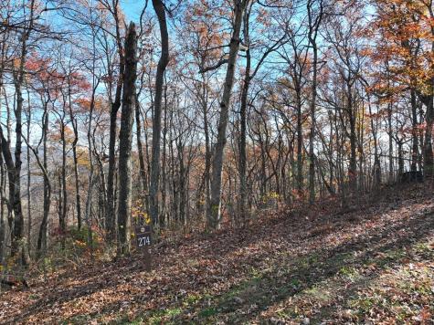 274 Andes Ridge Ellijay GA 30536