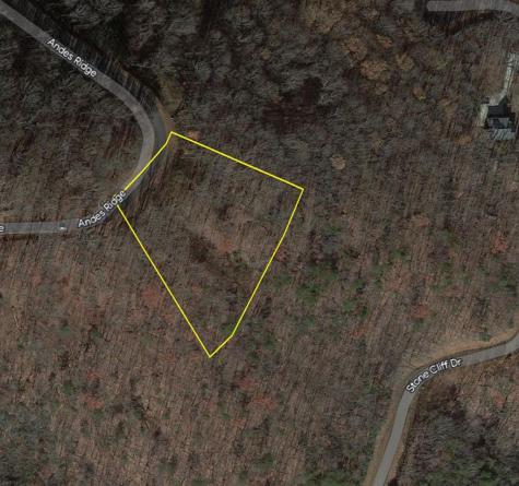 274 Andes Ridge Ellijay GA 30536